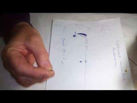 Видео: Безмотылка поисковая, глубинная