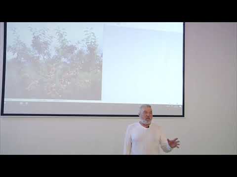 Видео: Рекомендованные сорта фруктовых деревьев для Приморского края (часть 7)