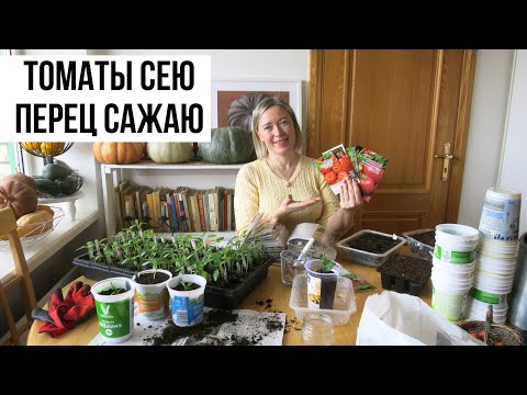 Видео: Апрель / Посев томатов, пикировка перца, прошлогодние помидоры и планы на будущее