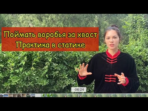 Видео: Поймать воробья за хвост. Стойки и Практика в статике.