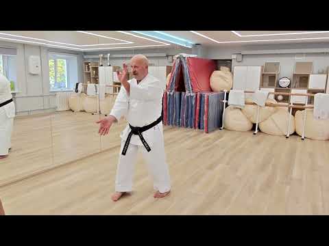 Видео: Стойка санчин6