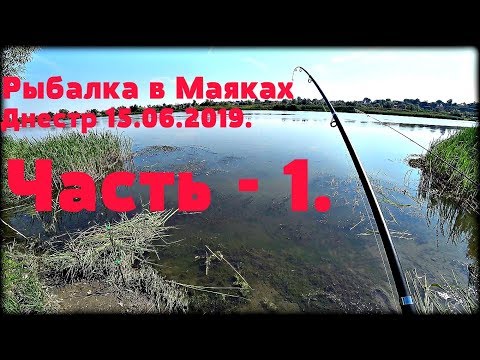 Видео: Рыбалка в Маяках, Днестр 15.06.2019. Часть - 1.
