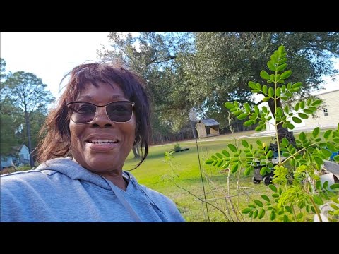 Видео: ЛУЧШИЕ методы борьбы с вредителями сада и сбора их