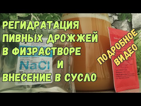 Видео: Как размножить пивные дрожжи,стартер для сусла.