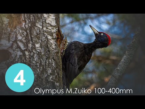 Видео: Olympus M.Zuiko Digital ED 100-400mm f/5.0-6.3 IS Часть 4