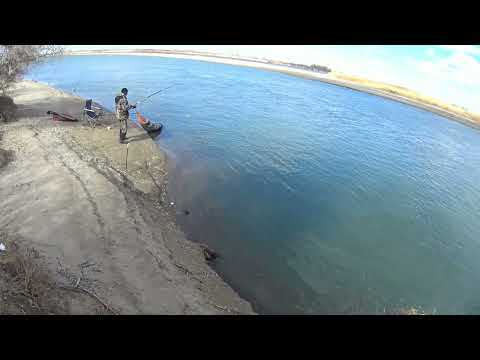 Видео: мамалыжка 31- 2 11 самый короткий отчет о рыбалке.