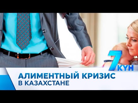 Видео: Размеры алиментов на детей предлагают увеличить в РК
