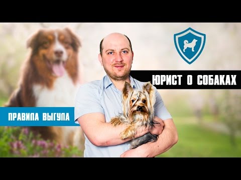 Видео: Правила и законы о домашних животных. Юрист ответит