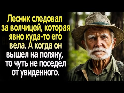 Видео: Жизненные истории. "Волчица!"  Слушать истории. Аудио рассказы онлайн. Реальные истории