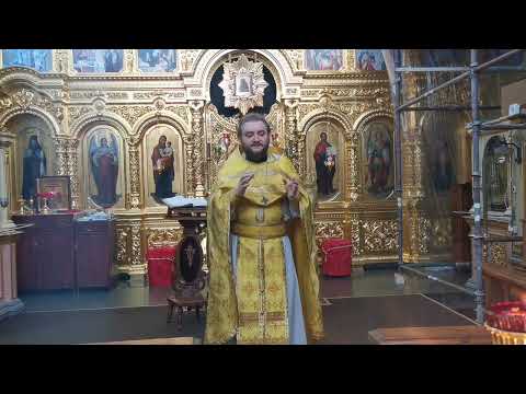 Видео: ГОСПОДЬ НАС ЛЮБИТ. Отец Савва (Мажуко).