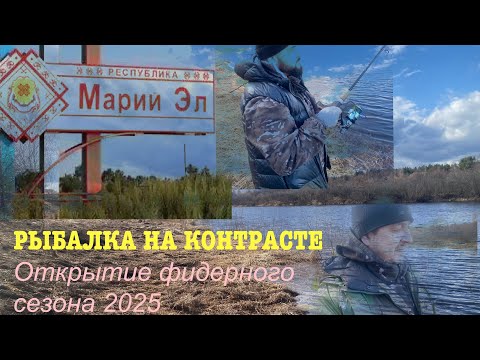 Видео: РЫБАЛКА НА КОНТРАСТЕ