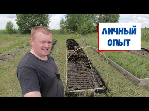 Видео: Методы борьбы с конкурентами