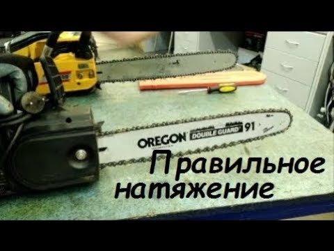 Видео: Как правильно натягивать цепь электро или бензопилы/How to properly pull chain on the chainsaws