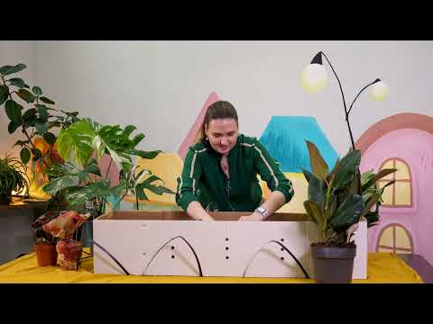 Видео: Гнилые растения. Обзор поставки из Голландии