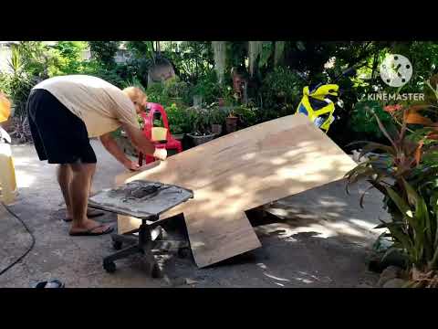 Видео: Посадка черенков бонсай и ремонт поворотного стола для бонсай | Жизнь бонсай на Филиппинах 🇵🇭