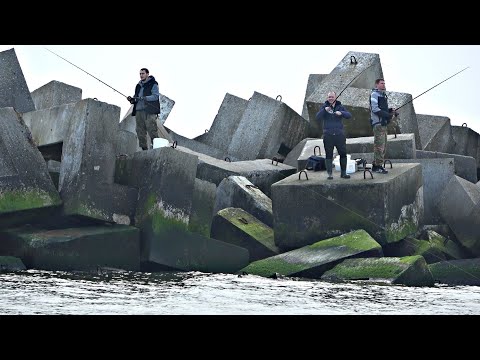Видео: ОДИН ЗАБРОС 5 РЫБ!! ЕЁ ЛОВЯТ С БУЛЫЖНИКОВ И ЛОДОК! Рыбалка 2023.