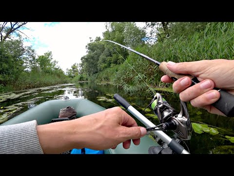 Видео: Рыбалка на блесну в зарослях кувшинок. На эту приманку поклевка за поклевкой!