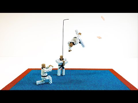 Видео: Тхэквондо (магнитная остановка движения)