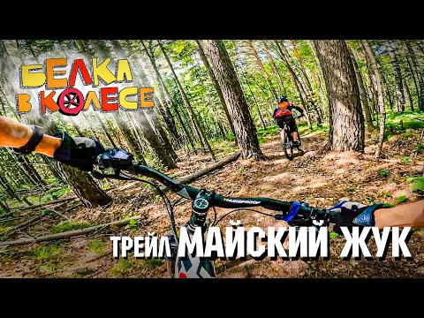 Видео: трейл Майский Жук | Белка в колесе | Алтай