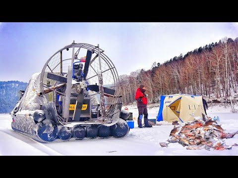 Видео: ВОЛОСЫ ДЫБОМ ОТ ТАКОЙ РЫБАЛКИ С НОЧЁВКОЙ! ВОЛКИ РЯДОМ! ЩУКИ СХОДЯТ С УМА, МЕШОК ЛЕЩА И ОКУНЯ