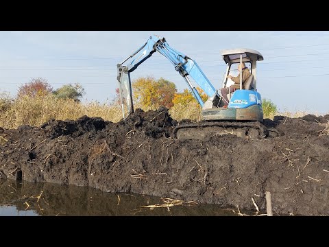 Видео: Оренда водойми. Чистимо берег від очерету. Частина 2.