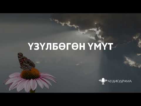 Видео: Үзүлбөгөн үмүт