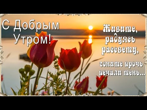 Видео: С Добрым Утром! 💖 Ничего прекрасней нету, чем данный Богом Новый День…! 💖 Живите, радуясь рассвету…