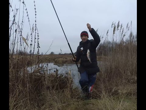 Видео: Косим ОКУНЯ на боковий кивок, полосатий розбійники розривають мормишку.