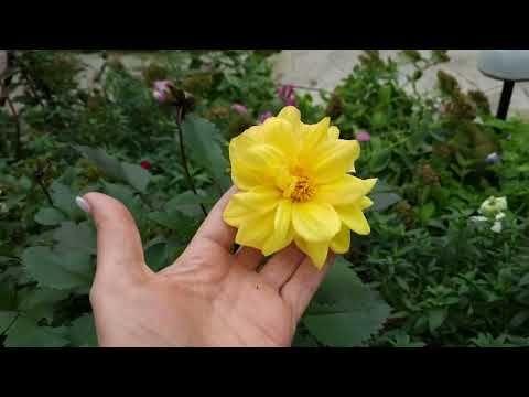 Видео: Ура , окно поставили!