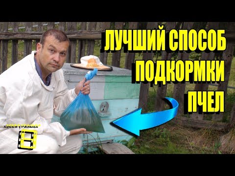 Видео: СУПЕР СПОСОБ ПОДКОРМКИ ПЧЕЛ САХАРНЫМ СИРОПОМ НА ЗИМУ. ЛЮБИТЕЛЬСКОЕ ПЧЕЛОВОДСТВО
