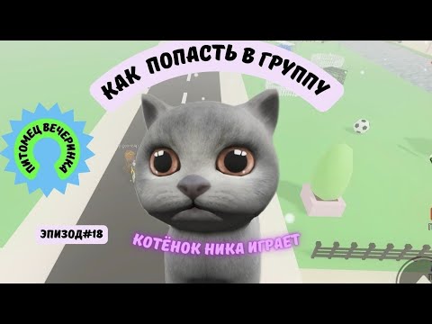 Видео: Roblox. Питомец вечеринка. Как попасть в группу питомец вечеринка. Котёнок Ника играет.