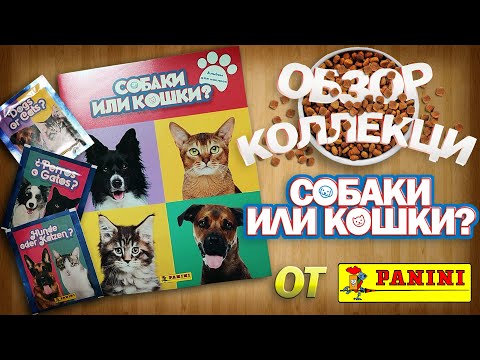 Видео: Обзор коллекции наклеек  от Panini "Собаки или кошки?"