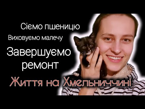 Видео: ВЛОГ, Диво чудное | Життя переселенців 