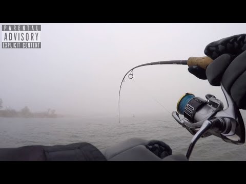 Видео: Рыбалка на Дону! Судак, Пеленгас и многие другие! Дугино, Рогожкино