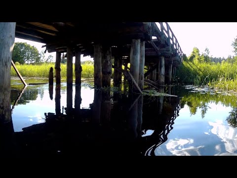 Видео: Огненная Шоша #5. По дикой речке Шоша на пакрафте: тайный портал под ольхой