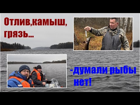 Видео: На рыбалку,на моторной лодке!