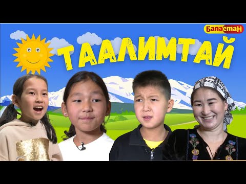 Видео: Мага тоскоол болгон таш... | "ТААЛИМТАЙ"