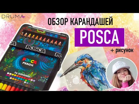 Видео: ОБЗОР цветных карандашей POSCA + рисунок