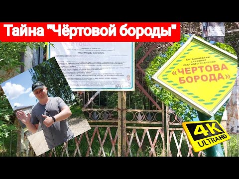 Видео: ЗДЕСЬ В БЕЛАРУСИ ЗОЛОТО И ПАЛЛАДИЙ ДОБЫВАЛИ! ЗАКАЗНИК ЧЁРТОВА БОРОДА. ИСТОРИЯ БОЛЬШИХ ДЕНЕГ