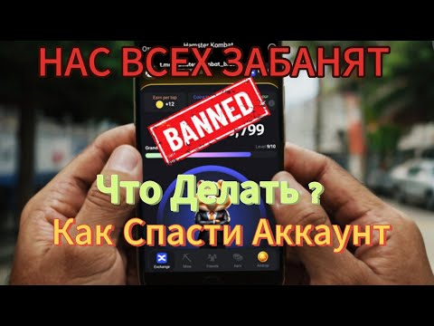 Видео: Hamster Kombat Как Спасти Аккаунт?  Нас Всех Забанят ? Что Делать ?