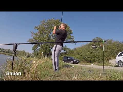 Видео: Приехали за Карпом. Озеро. Рыбалка. Ставропольский край