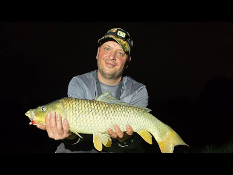 Видео: Карпы прут, как паровозы!!!