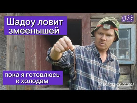 Видео: ШАДОУ ловит ЗМЕЕНЫШей, пока я ГОТОВЛЮСЬ к ХОЛОДАМ: реставрирую дровник, модернизирую русскую печь.