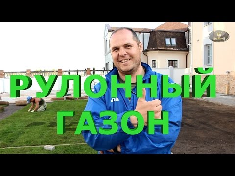 Видео: Укладка рулонного газона