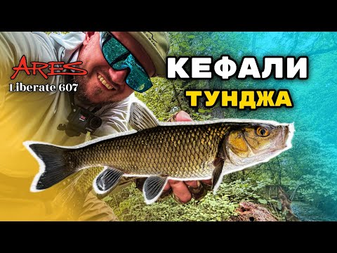Видео: Как да ловим кефал при висока вода – Снайперски подход на Тунджа