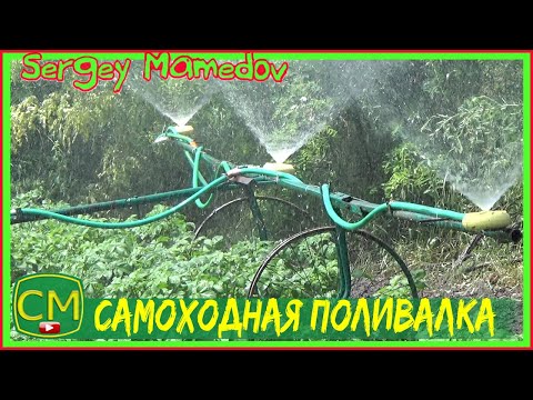 Видео: Полив картофеля💦🥔 Самоходной поливалкой.