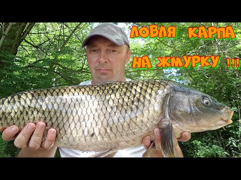 Видео: ТРОФЕЙНЫЙ КАРП НА БОКОВОЙ КИВОК ! РЫБАЛКА С ЛОДКИ НА ЖМУРКУ .