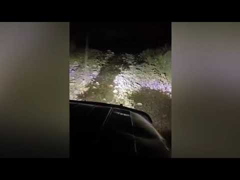 Видео: Тайга( Бурятия,Бичура)