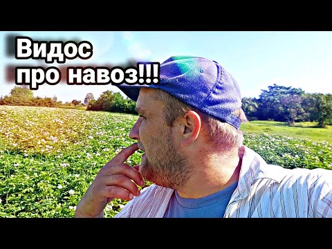 Видео: Почему не греется навозная или компостная куча // Что делать // Ответ на вопрос