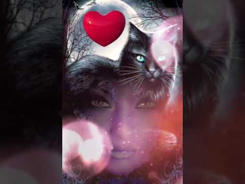 Видео: ЛЮБИМАЯ💋ВЕДЬМА🔥🔥🔥